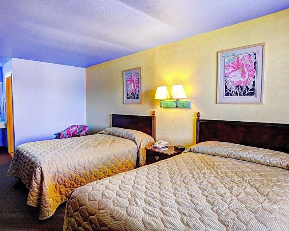 Hotel Nites Inn photo 5