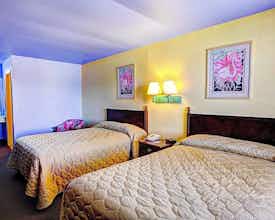 Hotel Nites Inn photo 5