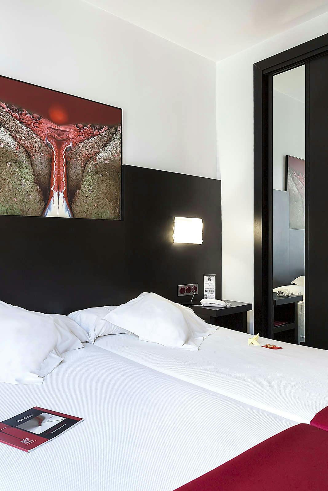 Hotel Hotel del Pintor photo 3