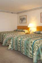 Hotel Lotus Inn photo 2