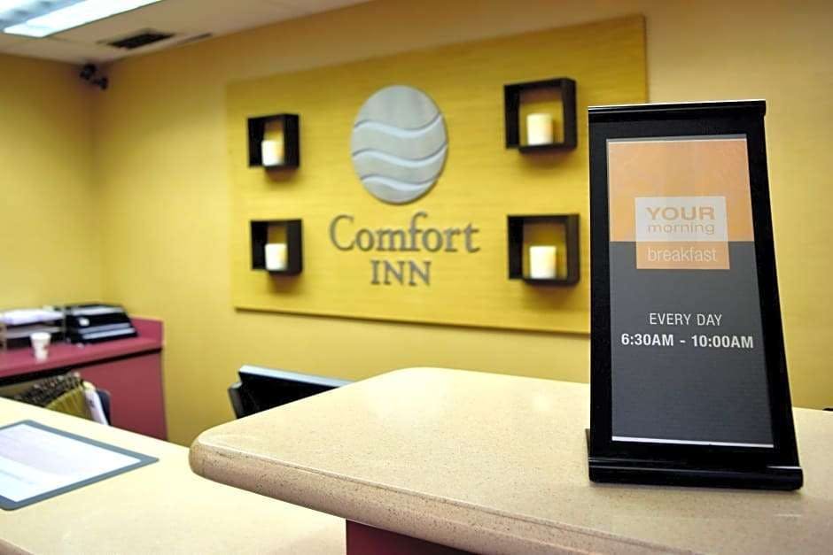 Hotel Comfort Inn & Suites DeLand - near University photo 3