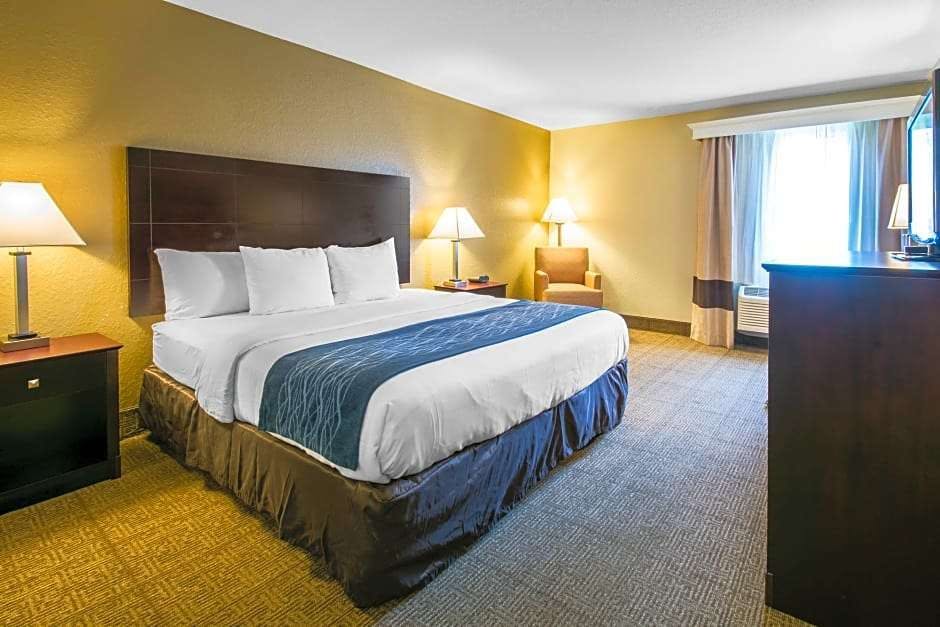 Hotel Comfort Inn & Suites DeLand - near University photo 4