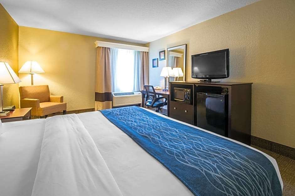 Hotel Comfort Inn & Suites DeLand - near University photo 5