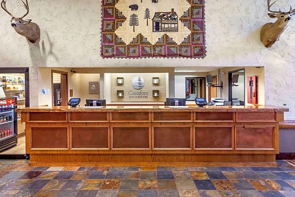 Hotel Comfort Inn & Suites Branson Meadows photo 1