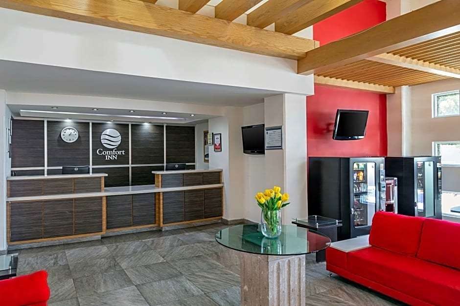 Hotel Hotel BeWow Queretaro photo 3