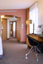 Hotel Grand Hotel les Flamants Roses photo 3