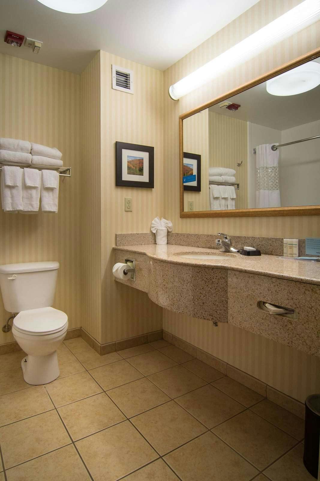 Hotel Hampton Inn Lewisburg WV photo 5