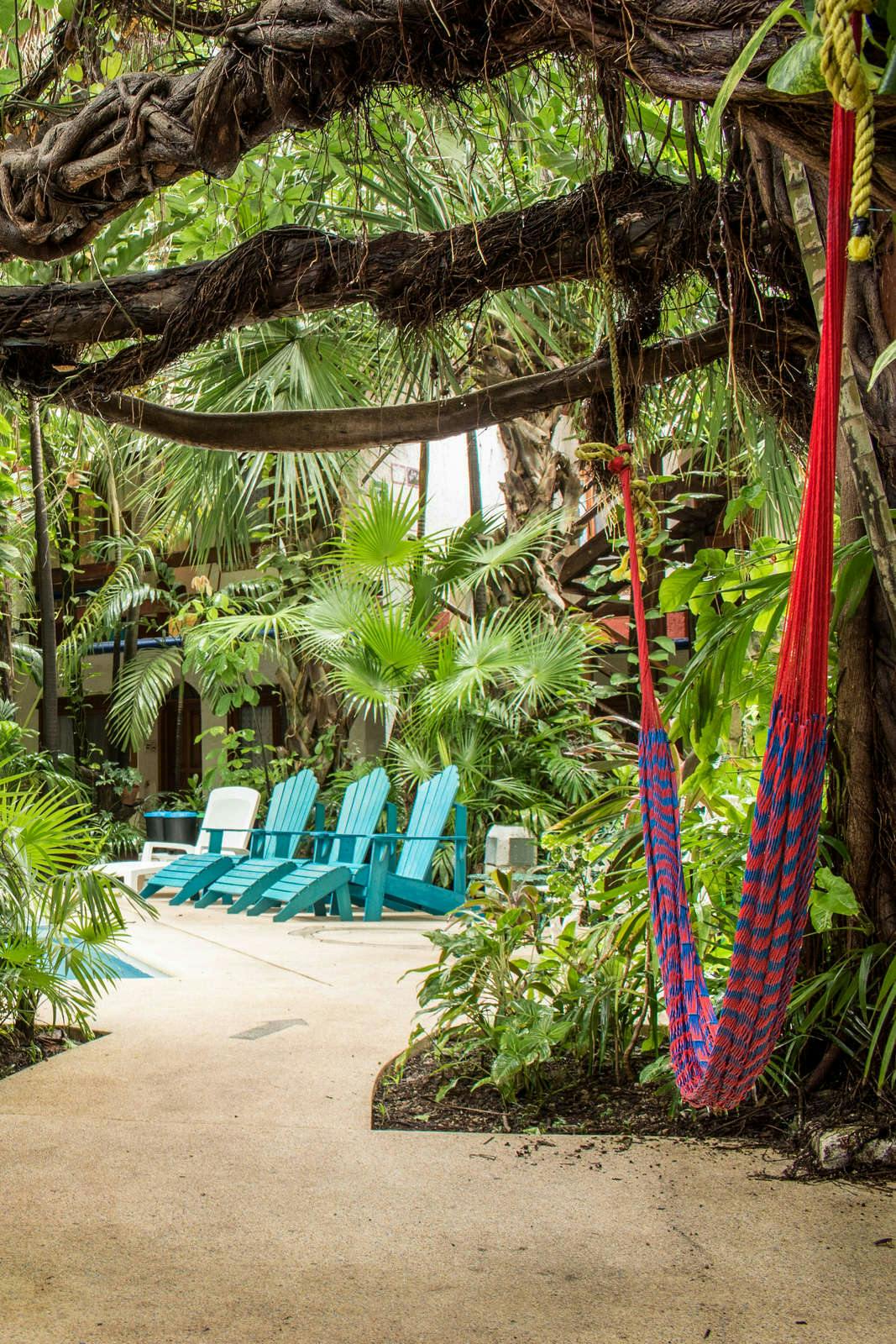 Hotel Eco Hotel el Rey del Caribe photo 4