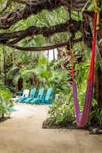 Hotel Eco Hotel el Rey del Caribe photo 4