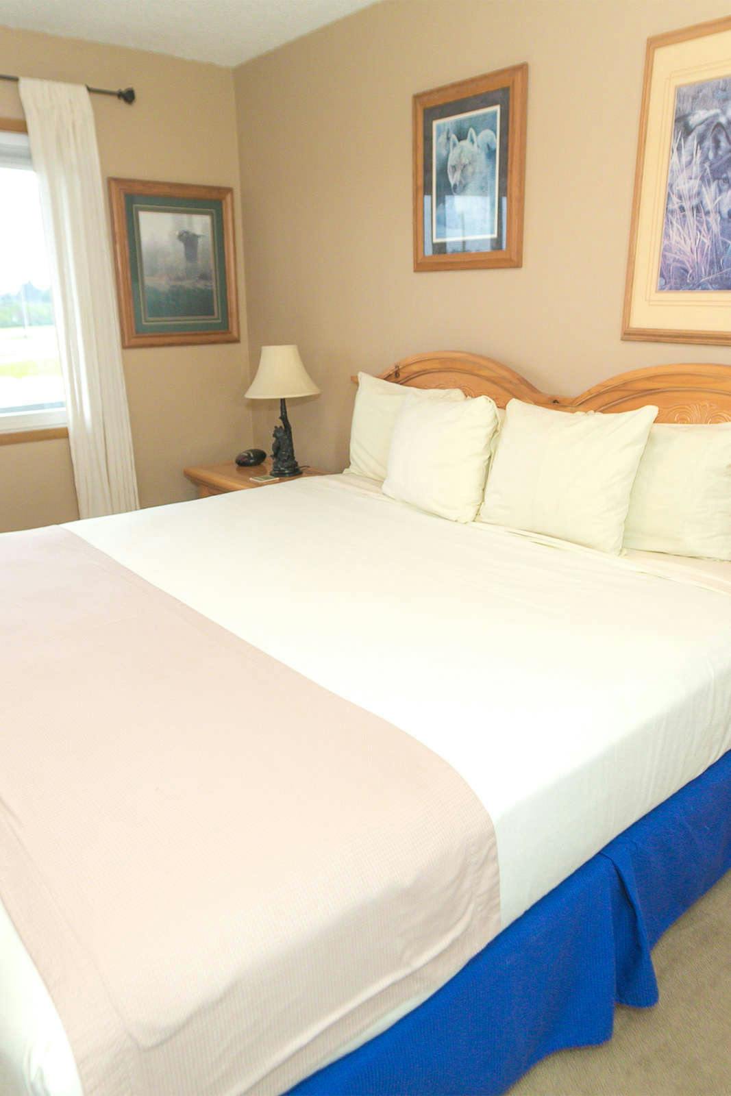 Hotel The Grey Gull photo 3