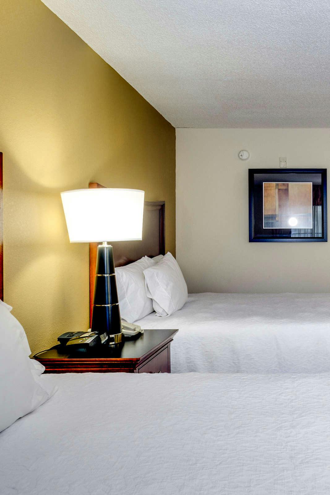 Hotel Hampton Inn & Suites - Cape Coral/Fort Myers Area, FL photo 2