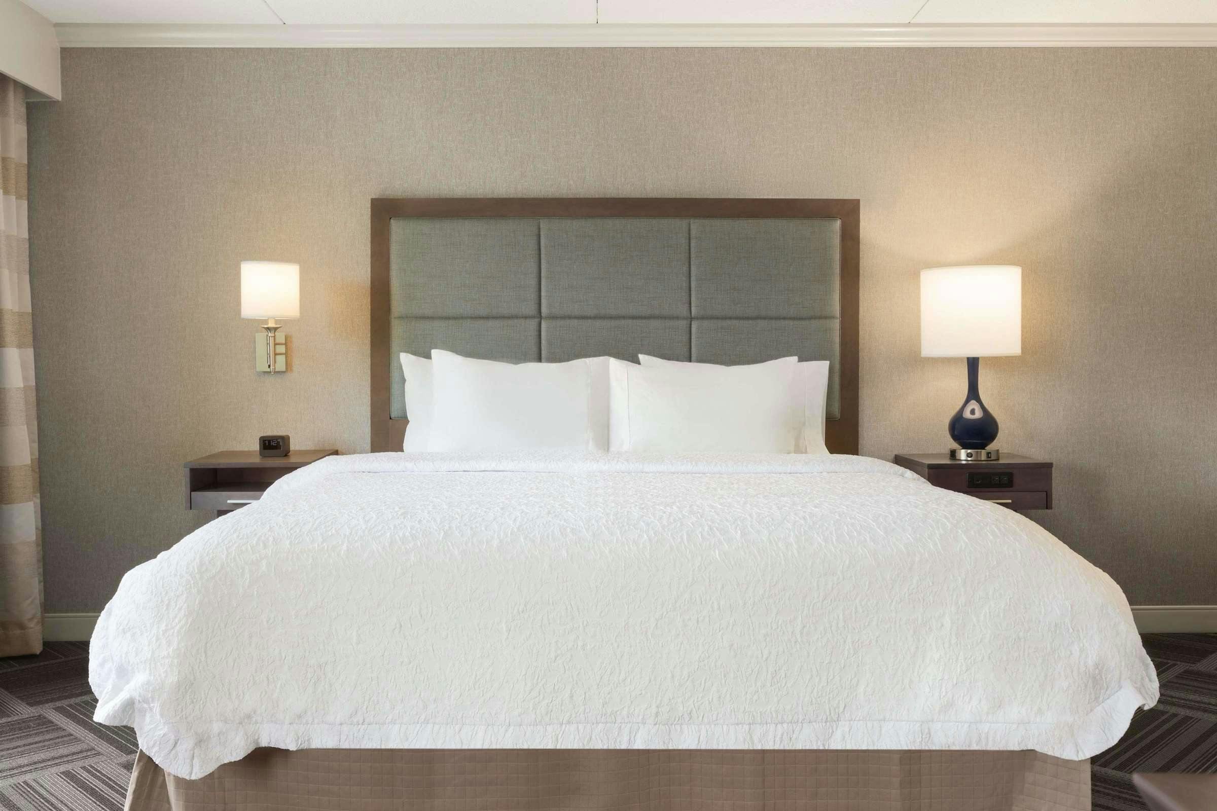 Hotel Hampton Inn & Suites By Hilton Manchester - Bedford photo 4