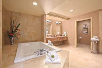 Hotel Embassy Suites by Hilton at Hot Springs Convention Center photo 2