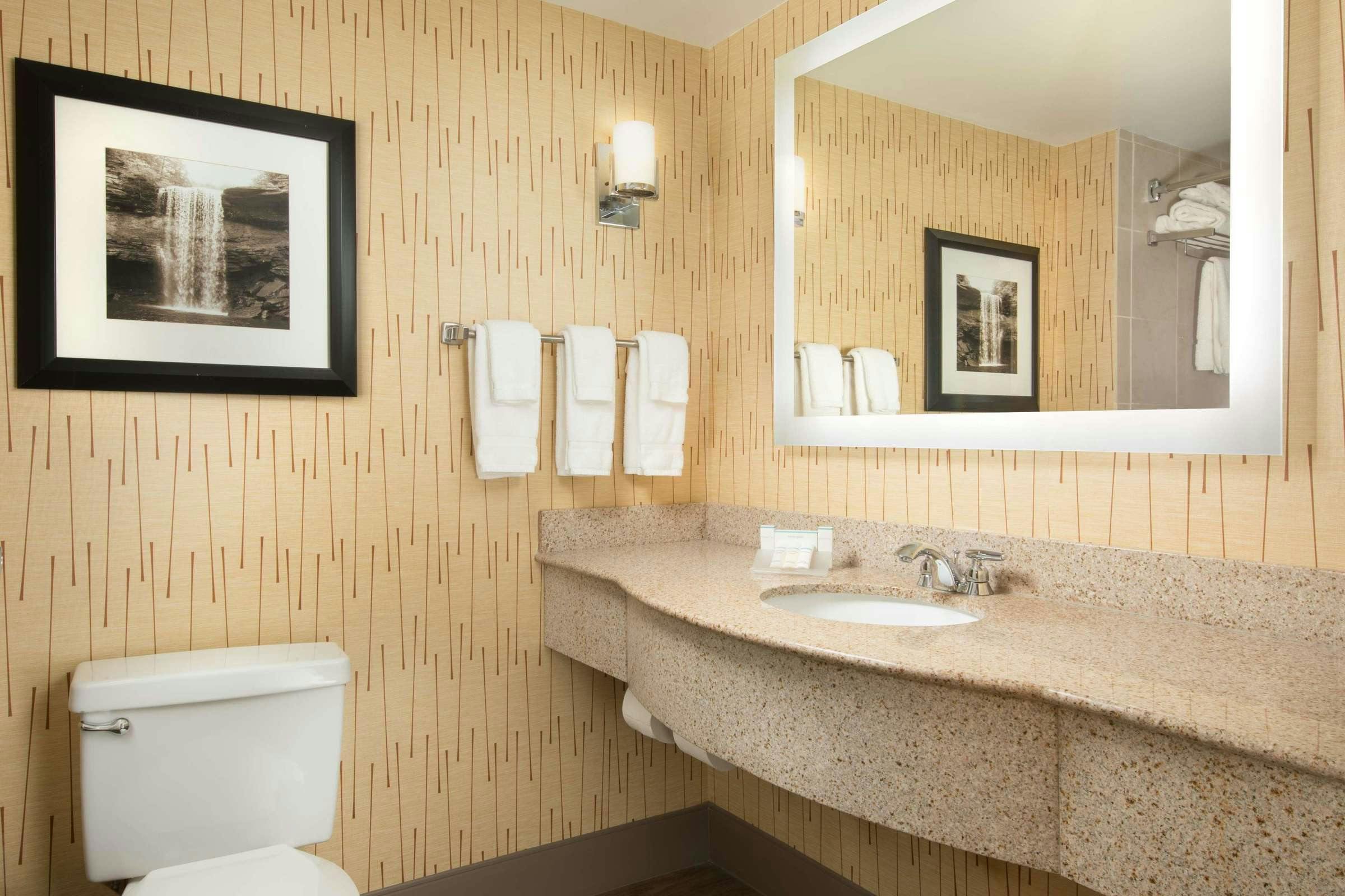 Hotel Hilton Garden Inn Chattanooga/Hamilton Place photo 3