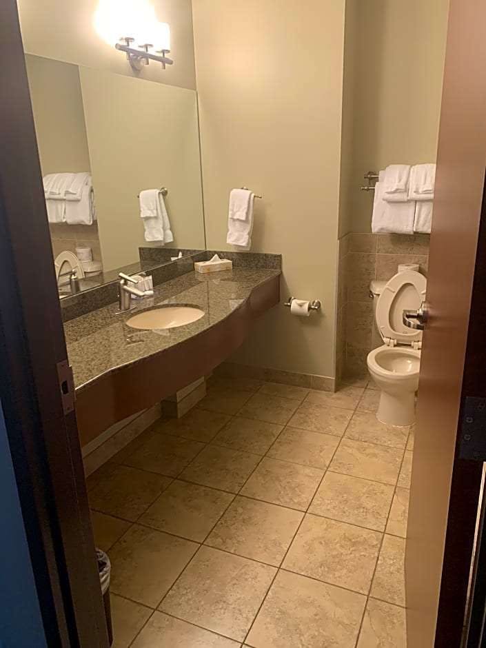 Hotel Canad Inns Destination Centre Garden City photo 3