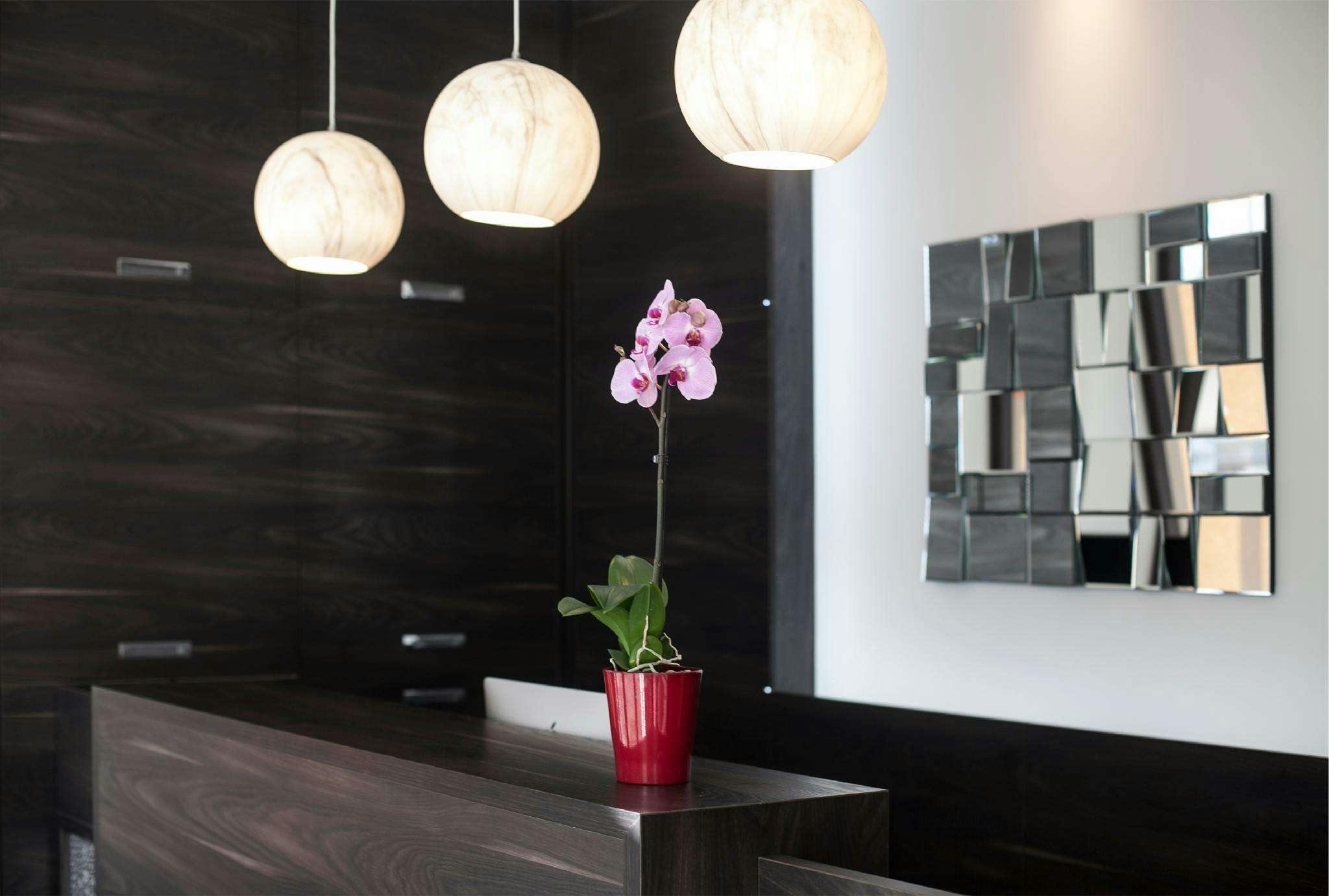 Hotel Antwerp Inn photo 3