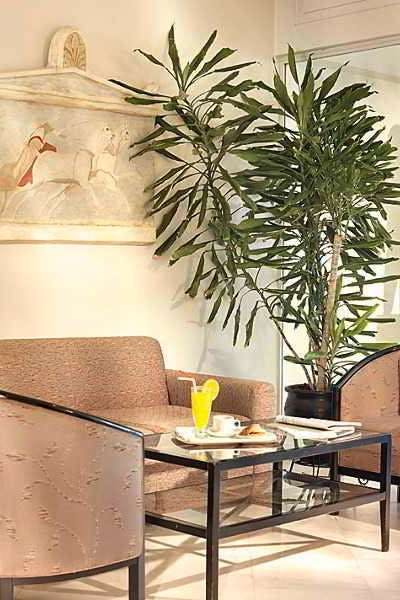 Hotel Hotel Jason Inn photo 4