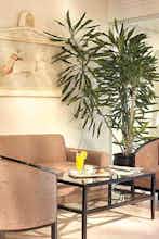 Hotel Hotel Jason Inn photo 4