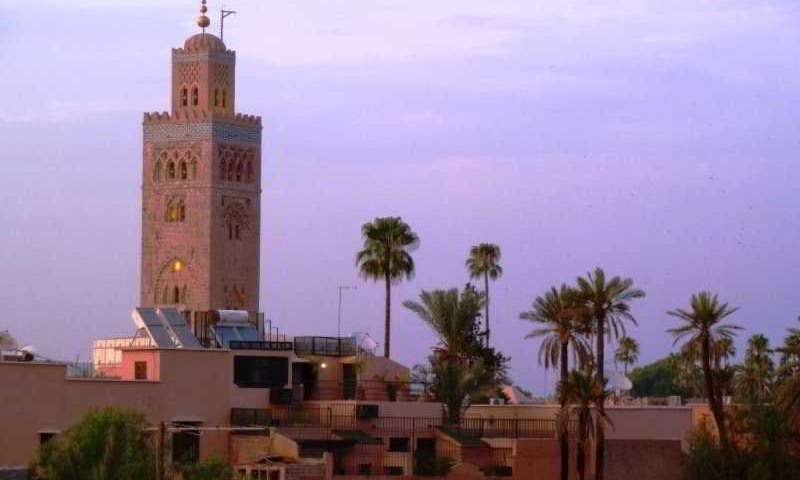 Riad Viva