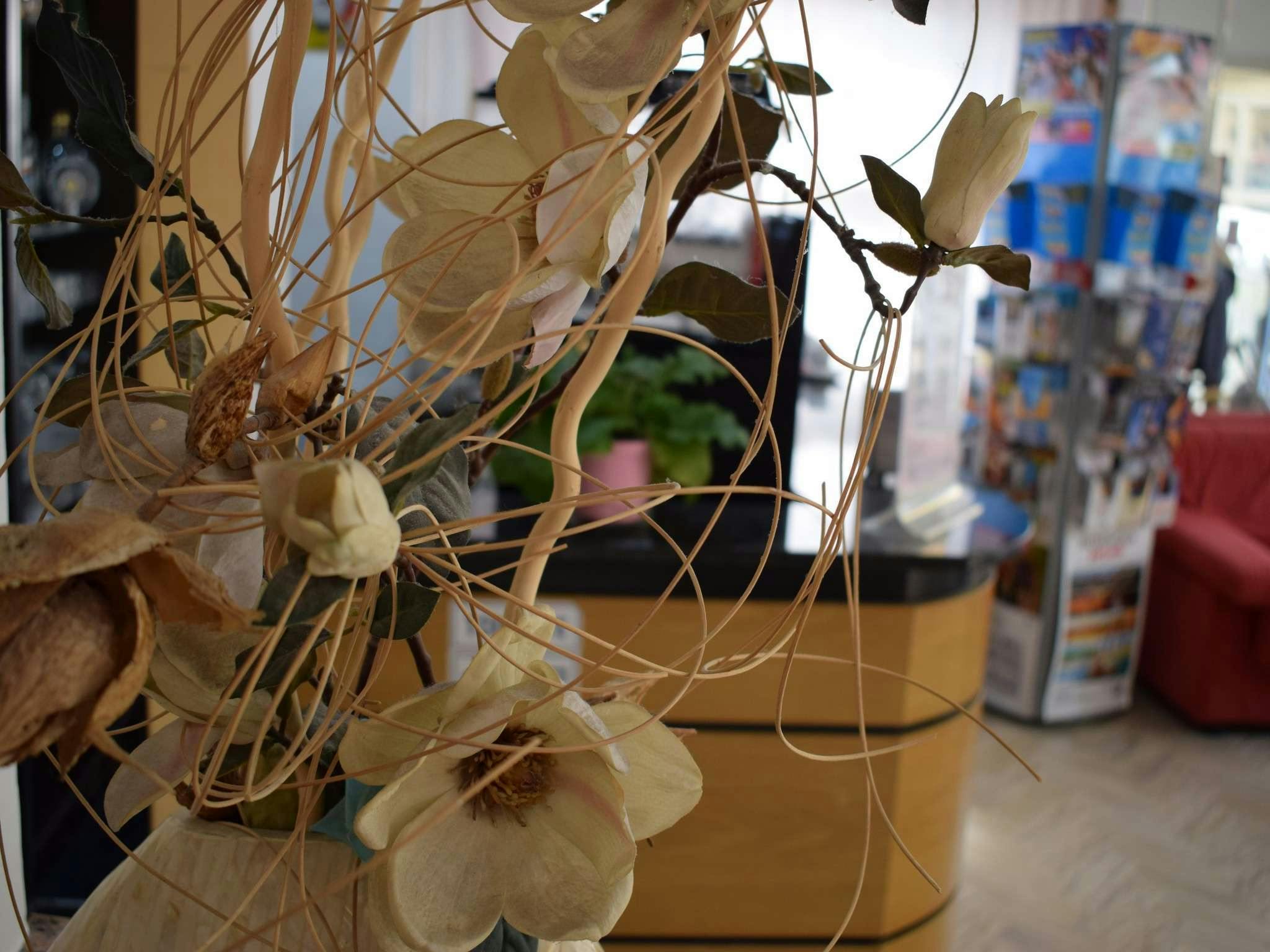 Hotel Hotel Bamby photo 5