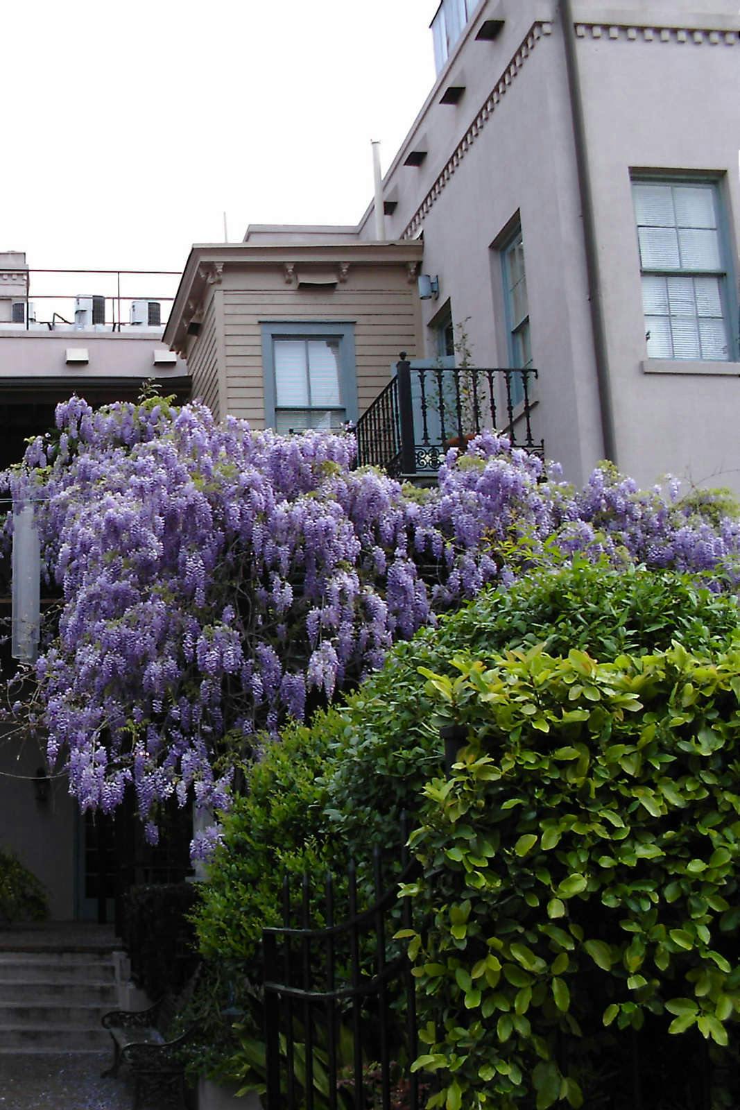 Dresser Palmer House Savannah Hoteltonight