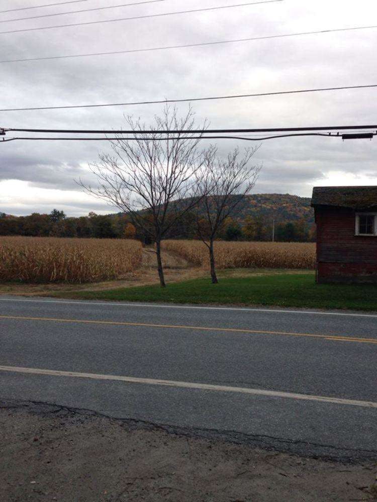 Hotel Silver Maple Lodge & Cottages photo 2