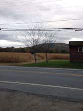 Hotel Silver Maple Lodge & Cottages photo 2