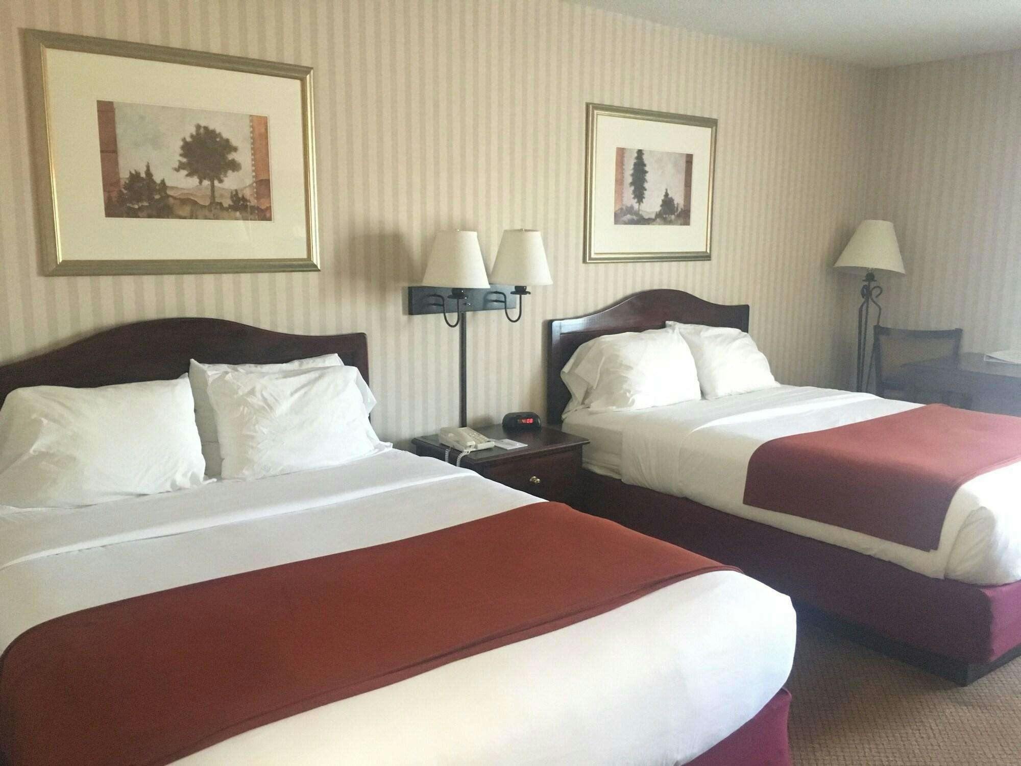 Hotel Mountain Inn & Suites photo 4