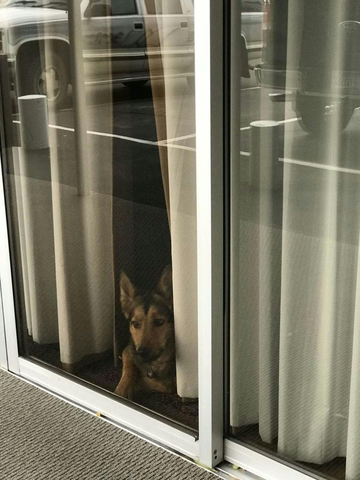 Hotel Lewis &amp; Clark Motel photo 3