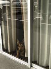 Hotel Lewis & Clark Motel photo 3