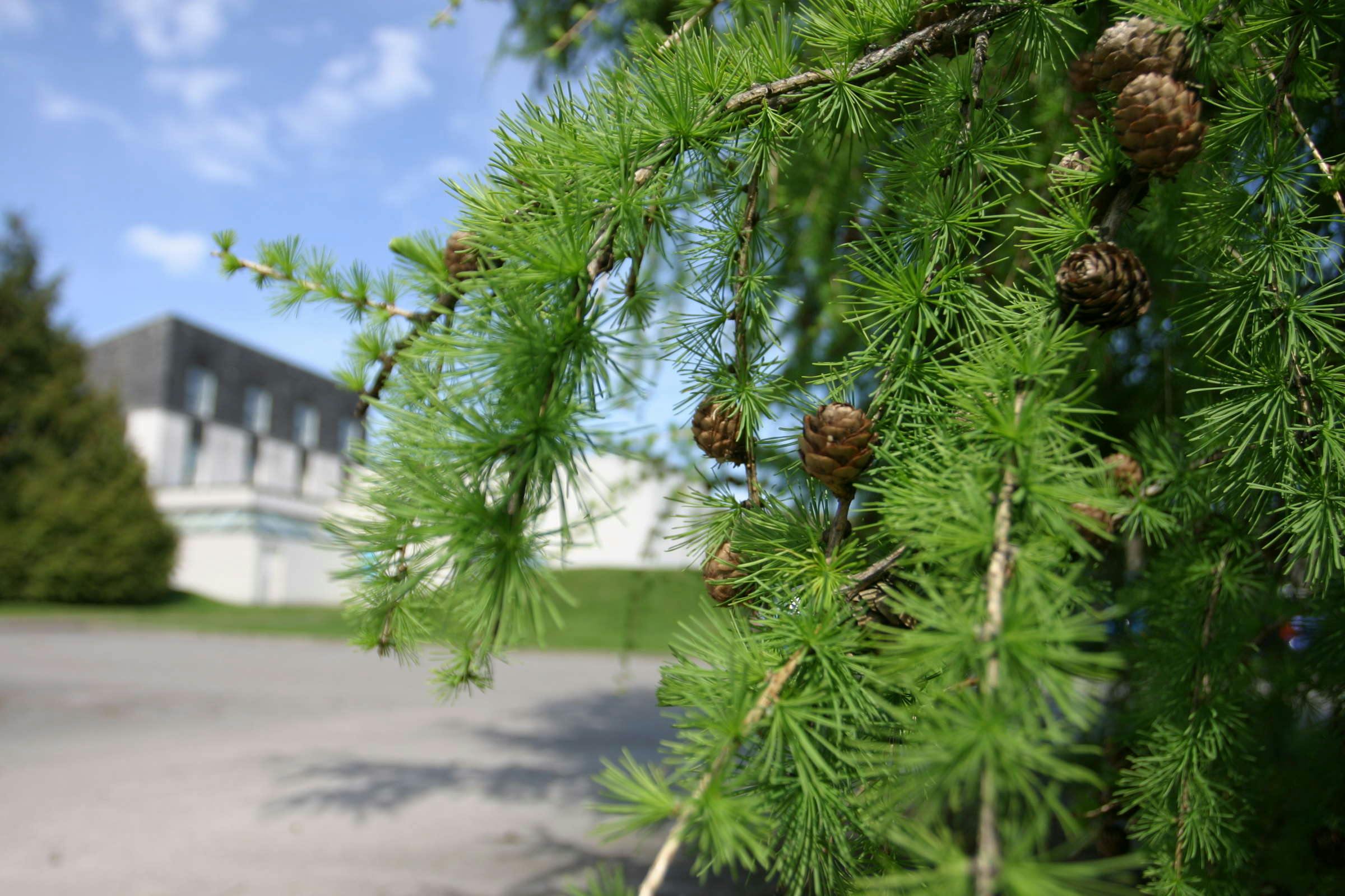 Eight Acres Hotel & Leisure Club