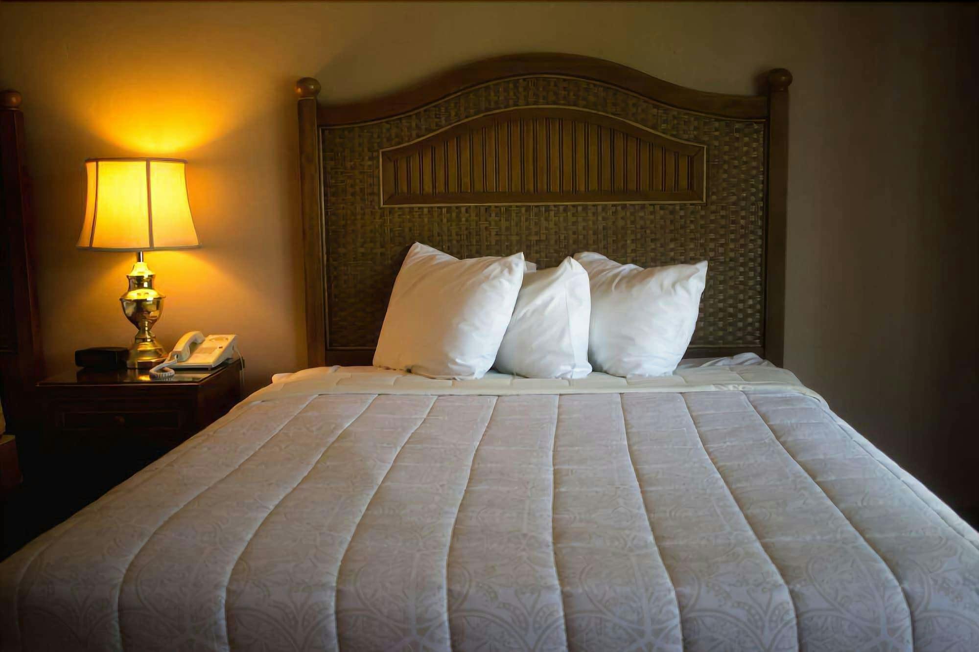 Hotel Lodge at Leathem Smith photo 2