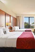 Hotel Comfort Suites Miami - Kendall photo 2