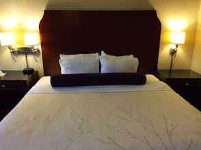 Hotel Black Mountain Inn photo 3