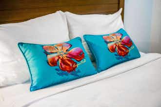 Hotel Margaritaville Lake Resort Lake of the Ozarks photo 2