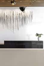Hotel Kimpton Everly Hotel photo 5