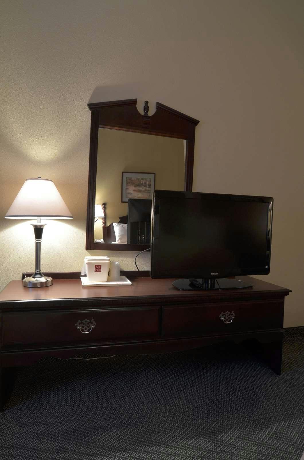 Hotel Comfort Suites Bush Intercontinental Airport photo 5
