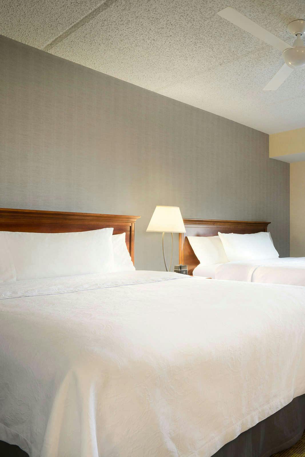 Hotel Homewood Suites by Hilton Williamsburg photo 4