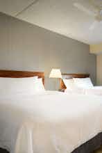 Hotel Homewood Suites by Hilton Williamsburg photo 4