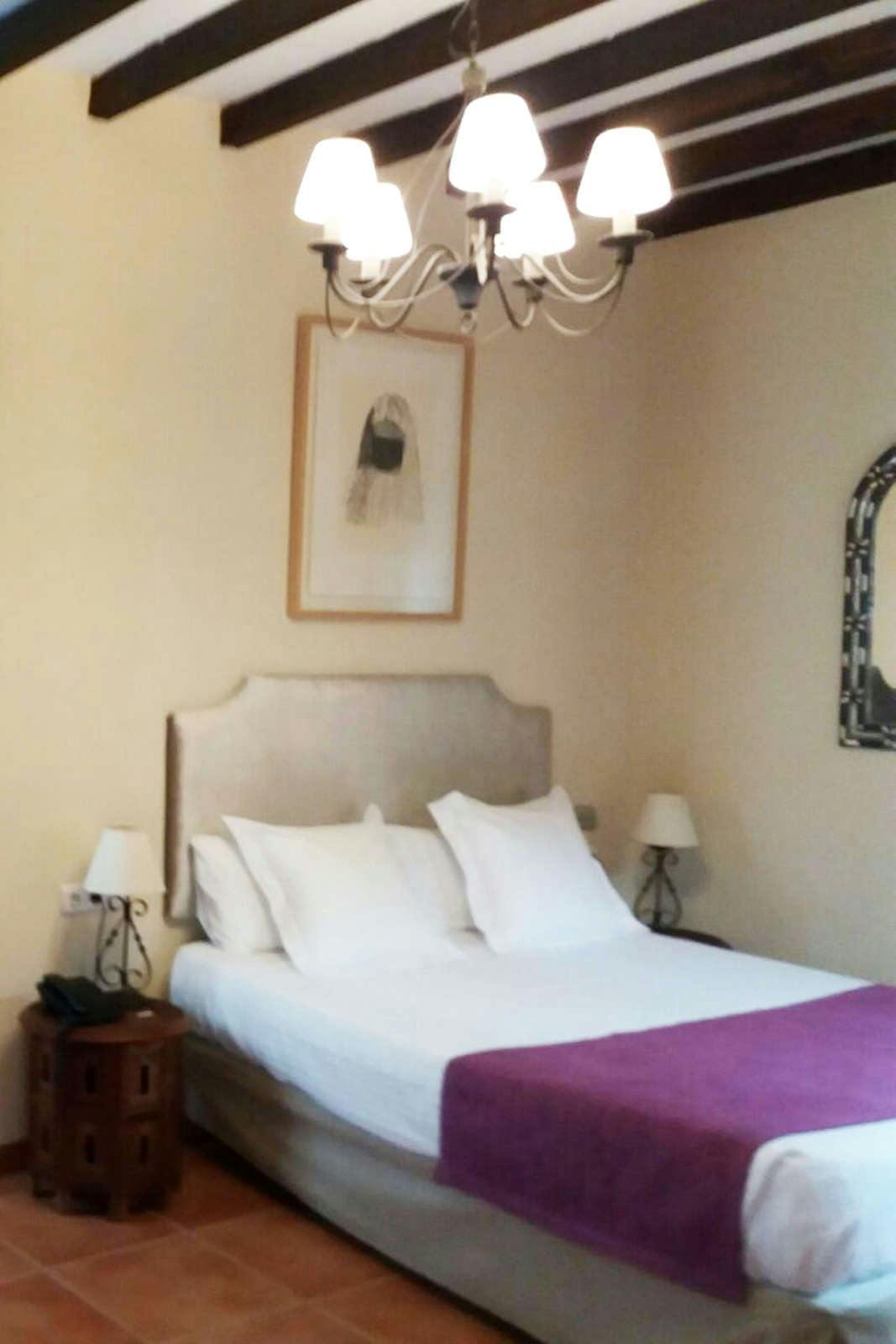 Hotel Hotel Palacio Santa Ines photo 4