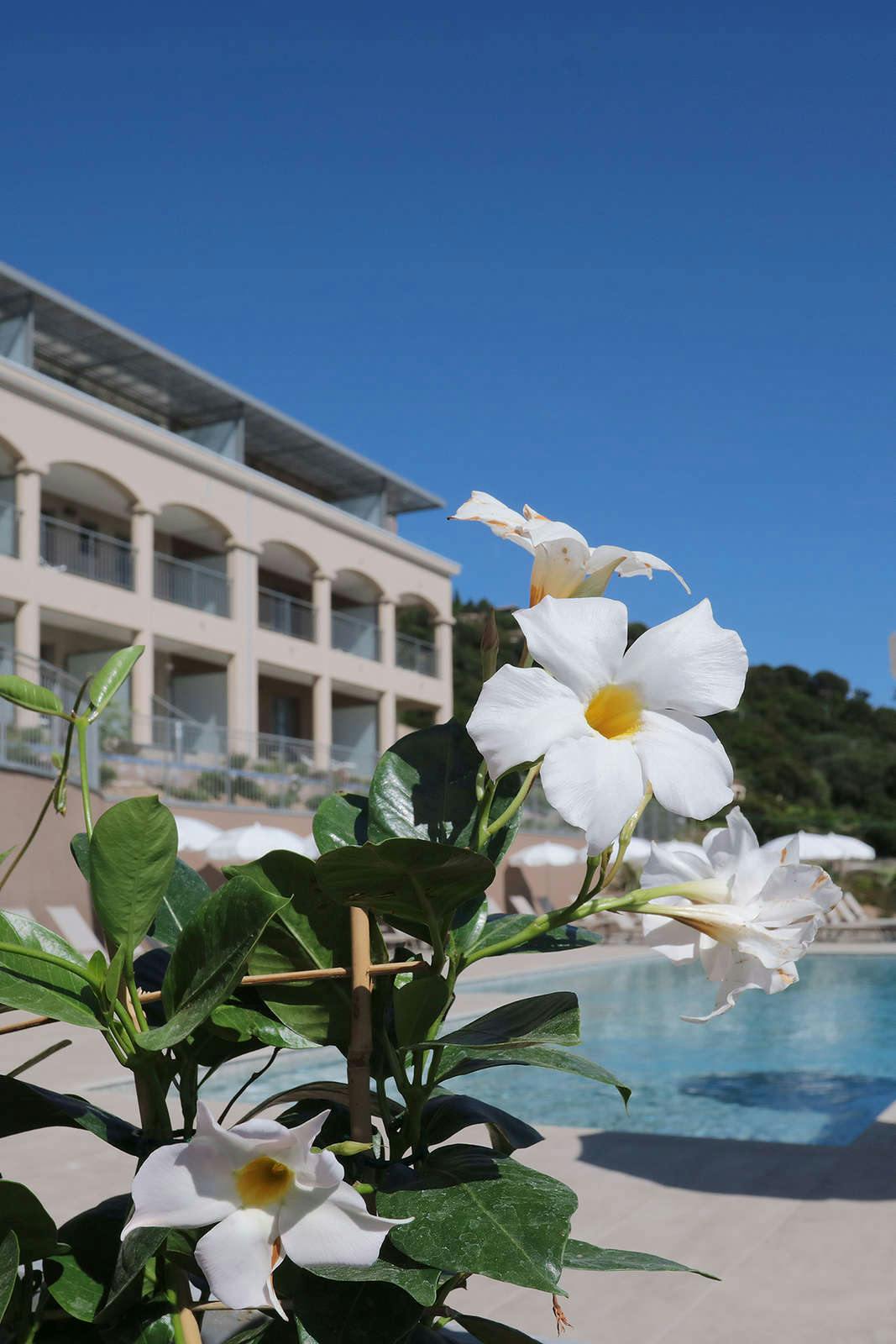 Hotel Hôtel La Villa Douce photo 1
