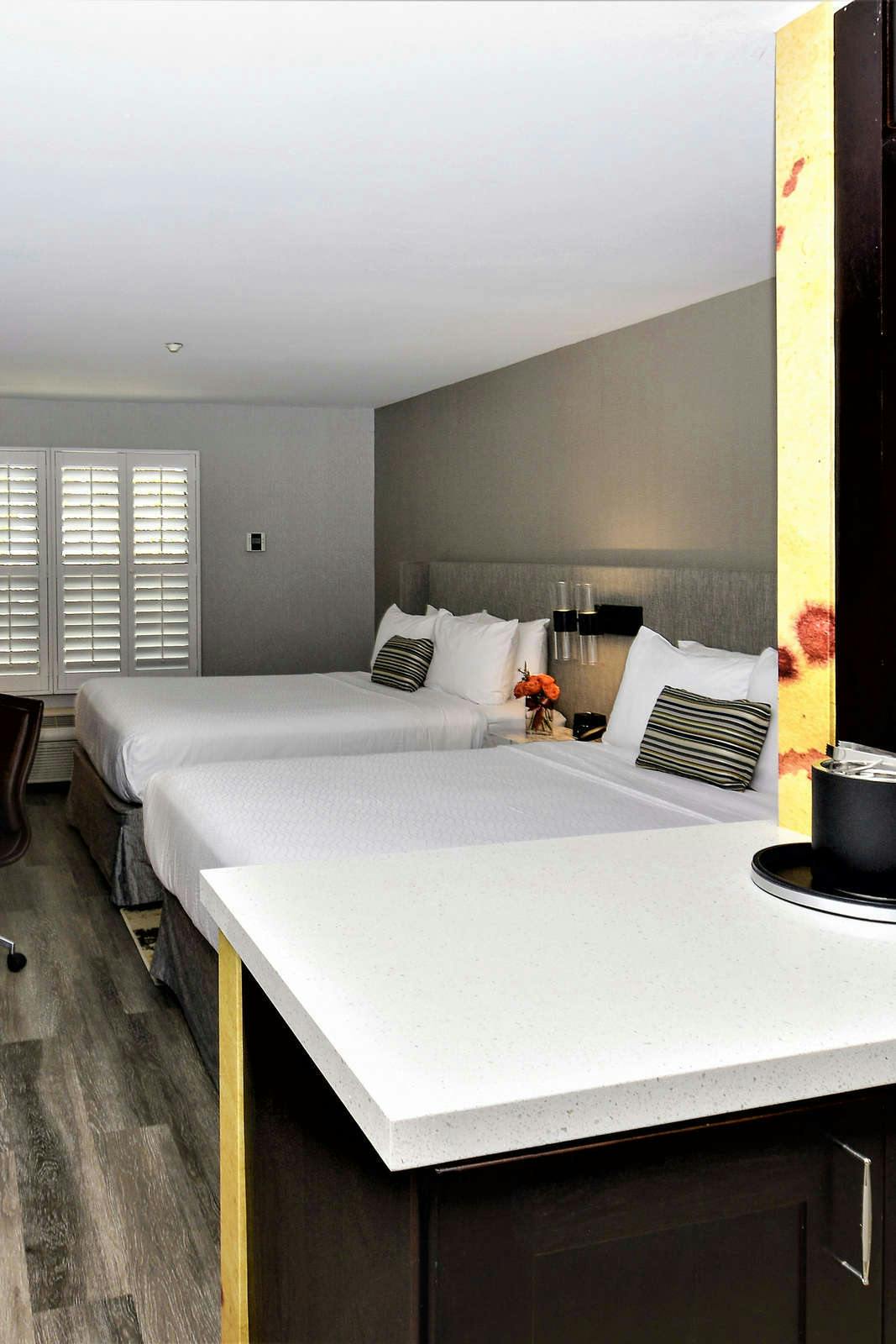 Hotel Hotel Indigo Napa Valley photo 4