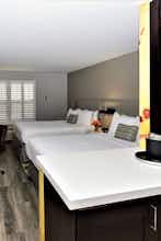 Hotel Hotel Indigo Napa Valley photo 4