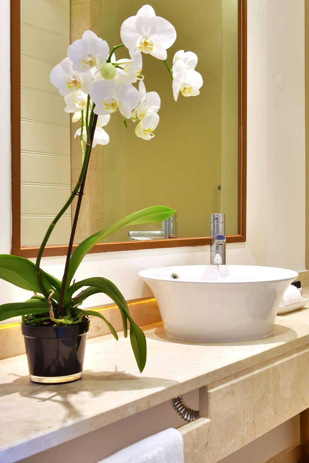 Hotel Pestana Alvor Praia Beach & Golf Hotel photo 5