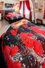 Hotel Music City Hotel - Home of the San Francisco Music Hall of Fame photo 5