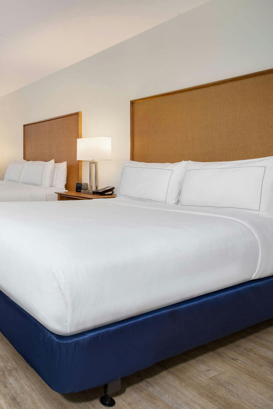 Hotel Hotel Dello, Tapestry Collection by Hilton. photo 4