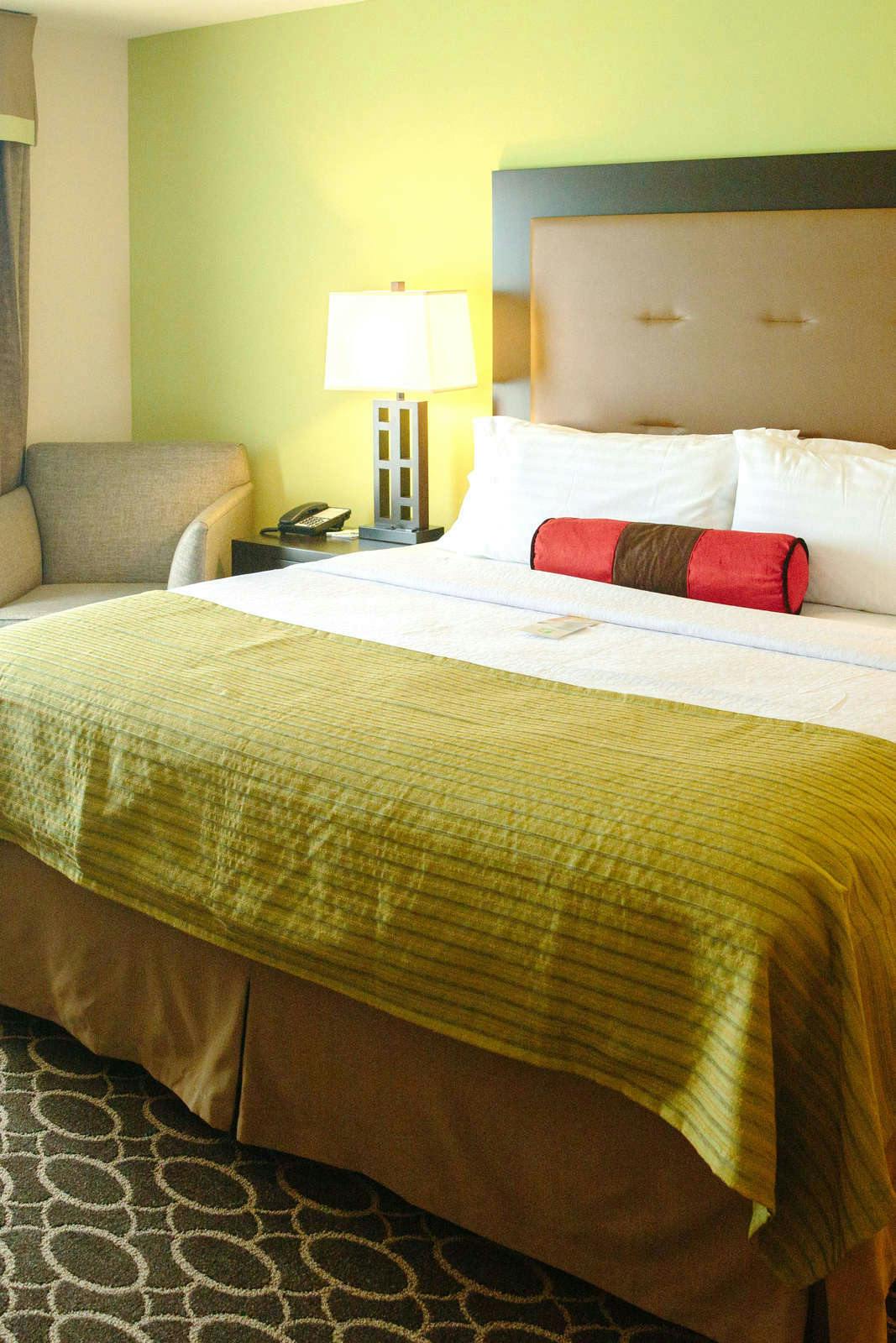 Hotel Holiday Inn Murfreesboro photo 2