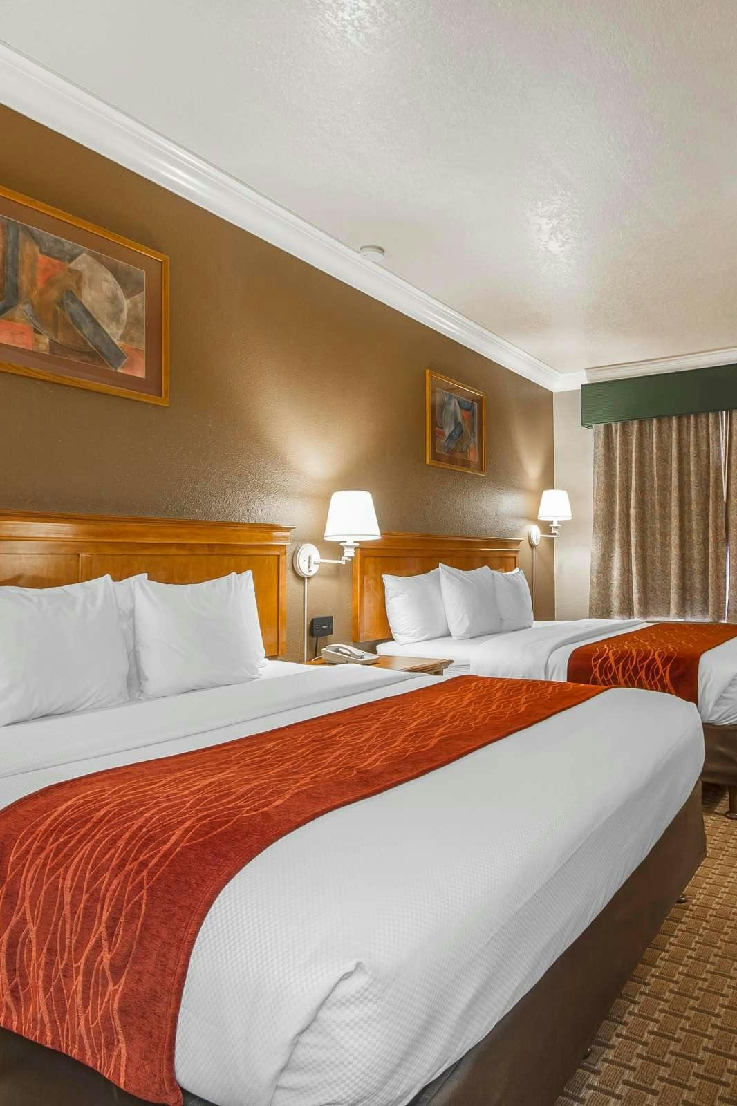 Hotel Comfort Inn and Suites San Francisco Airport North photo 2