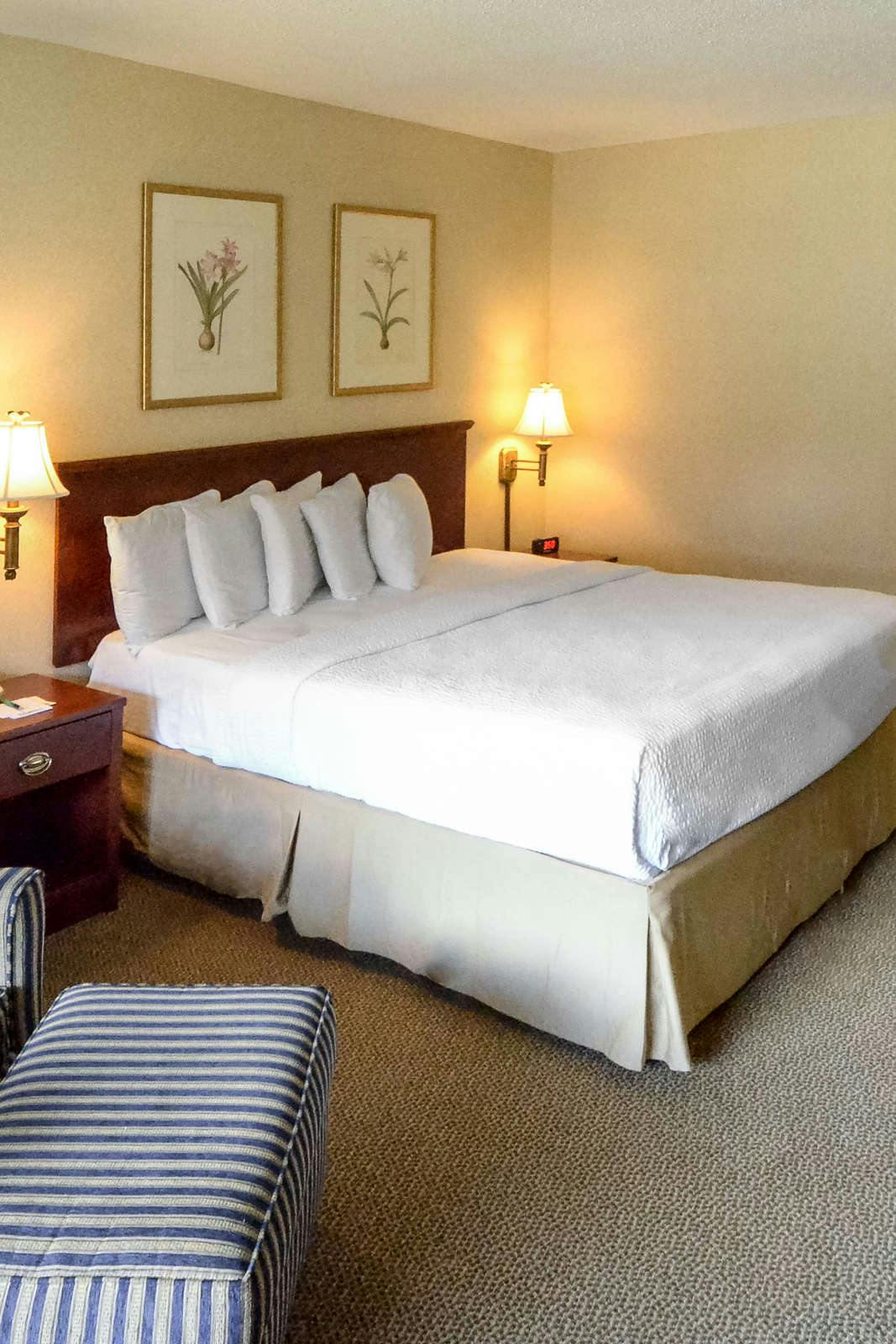 Hotel The English Inn photo 1