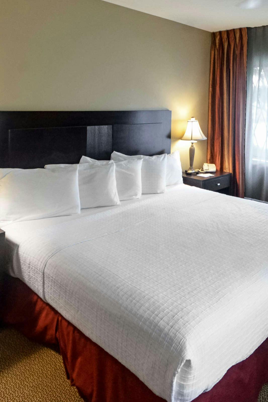 Hotel The English Inn photo 3